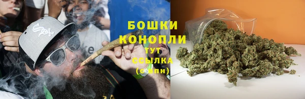 apvp Медногорск