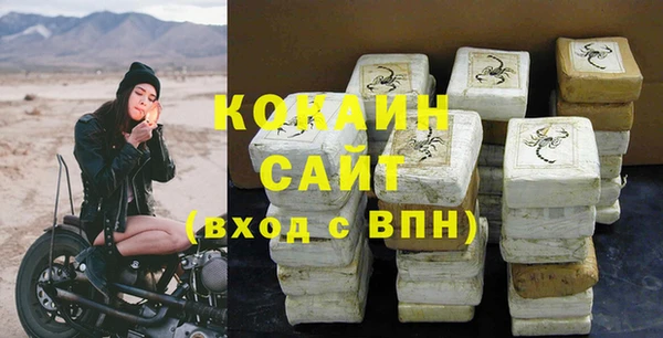 apvp Медногорск