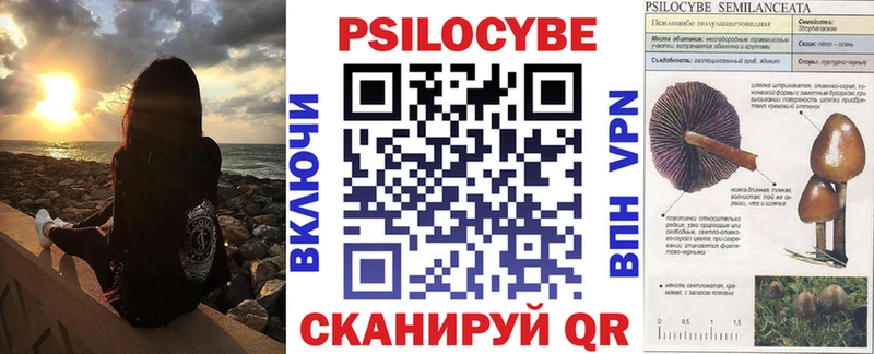 Псилоцибиновые грибы Cubensis  Красноярск 